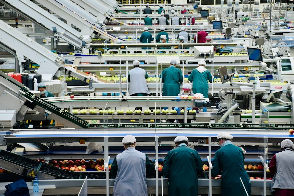 Food engineering services