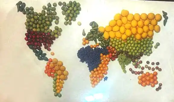 World map made of fruits