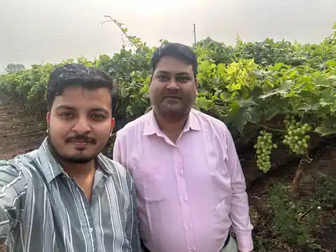 Vineyard Field Visit